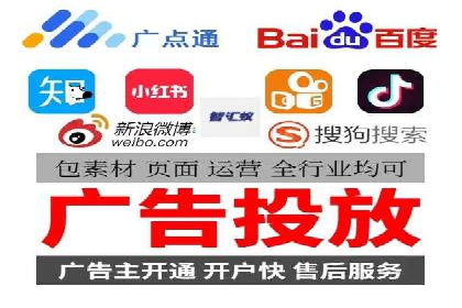 SEO百度推广策略：成功案例解析